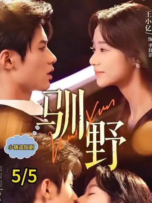 九号审讯室犯罪心理剧全集在线观看